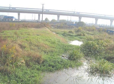 深基坑土方开挖施组资料下载-[上海]大厦深基坑开挖支护施工组织设计（专家评审）