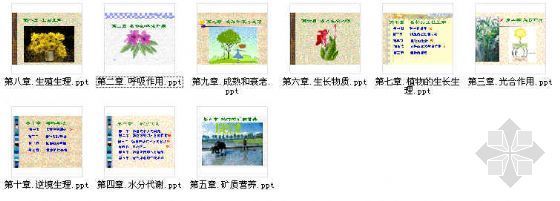 浙江园林植物栽植资料下载-园林植物生理