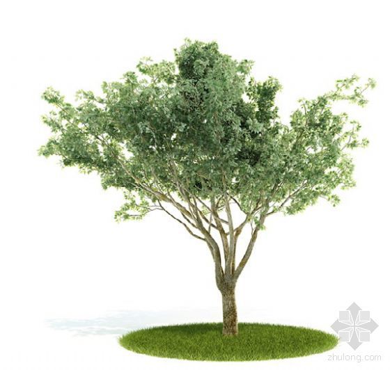3dsu树木模型下载资料下载-树木003