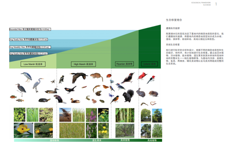 [江苏]滨水筑巢岛屿湿地公园景观设计方案（生态修复的典范）-生态修复理念