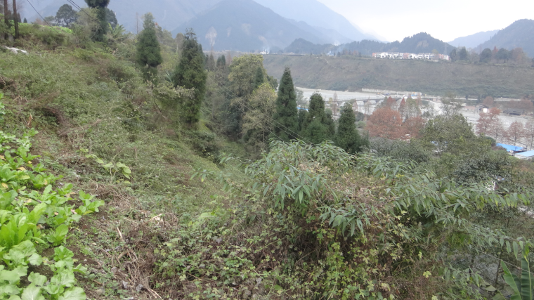 地质灾害危险性评估规范资料下载-[四川]地震极重灾县安置点地质灾害危险性评估报告