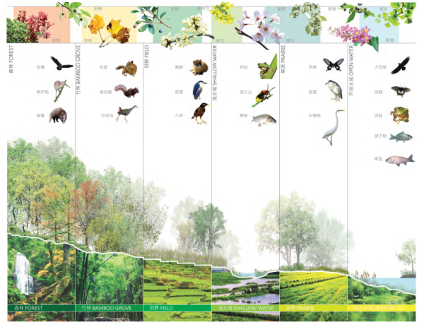 [四川]城市绿洲滨水生态中央公园景观设计方案-生态系统分析
