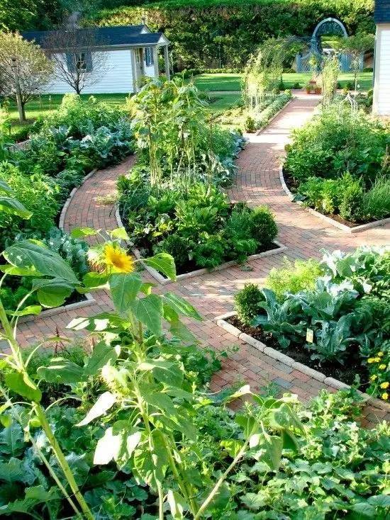 花园就是菜园，菜园就是花园_12