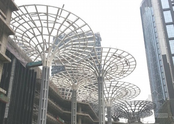 车站广场伞状群钢结构综合施工技术汇报-施工培训讲义-筑龙建筑施工