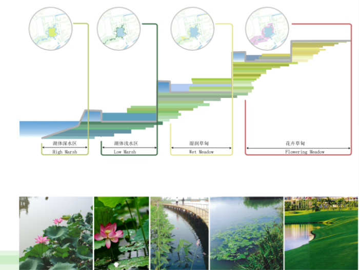 水体生态景观设计