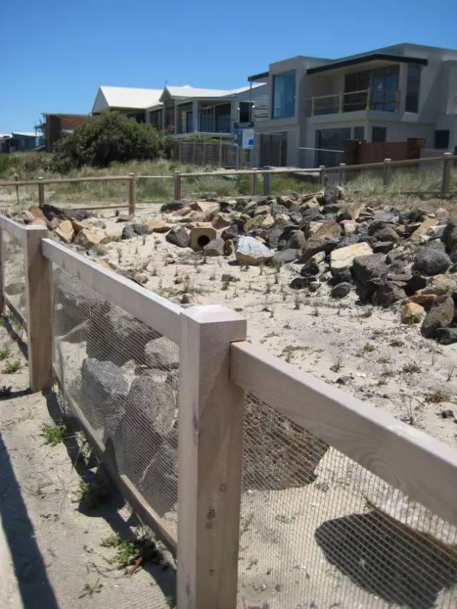 国外“海绵城市”的建设案例_7