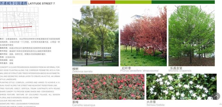 [江苏]科技产业园道路景观方案设计文本（PDF+559页）-苏通城市公园道路