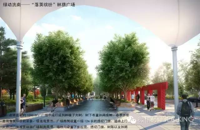 洮南市新城带状公园景观设计-15绿动洮南林荫广场.jpg