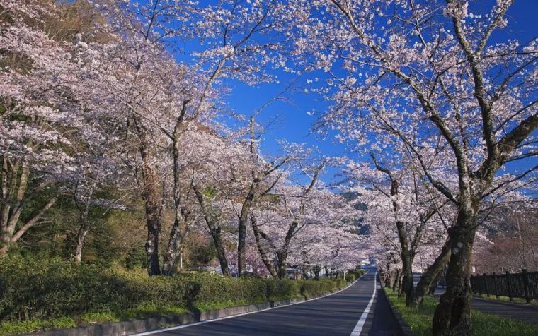 日本园林景观一瞥_12