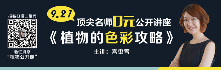 干货|园林植物季相变化景观特征-景观人必看|有了十步骤，甲方爸爸不用愁_10