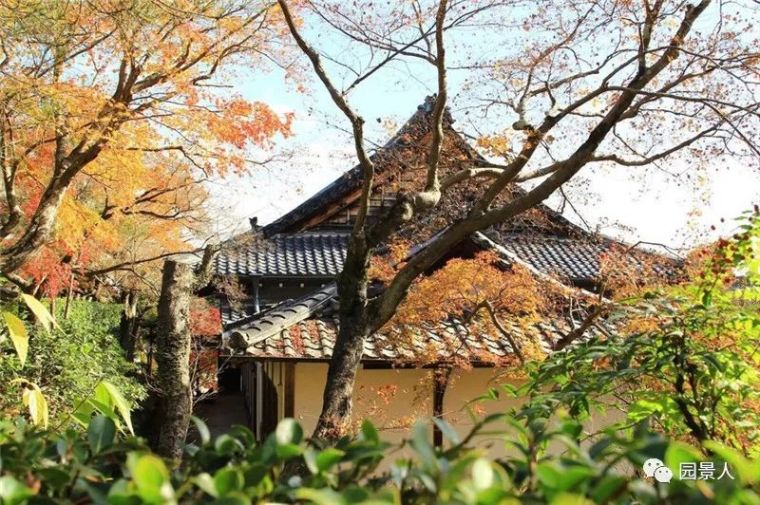 京都大德寺大仙院庭院资料下载-日式造园发展 · 东方园林体系下的禅宗与诗意