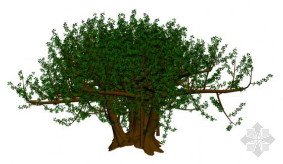 树max模型下载资料下载-菩提树