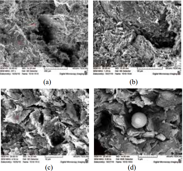 天津黏土的微观结构与压缩变形特征-2扫描电镜下天津黏土的孔隙形态