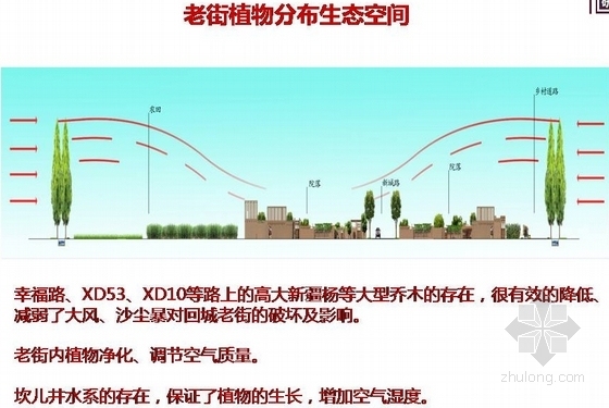 [新疆]吐鲁番古镇老街生态及绿化研究方案-汇报内页