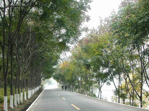 316国道施工图资料下载-德江县326国道绕城公路某段(投标)施工组织设计