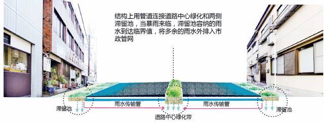 海绵城市设计措施全图解_19