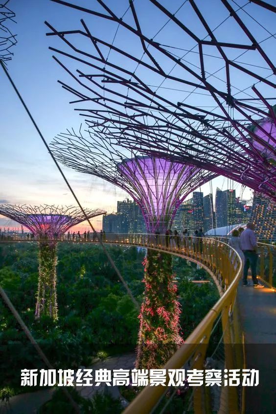新加坡住宅楼cad资料下载-新加坡经典高端景观考察活动