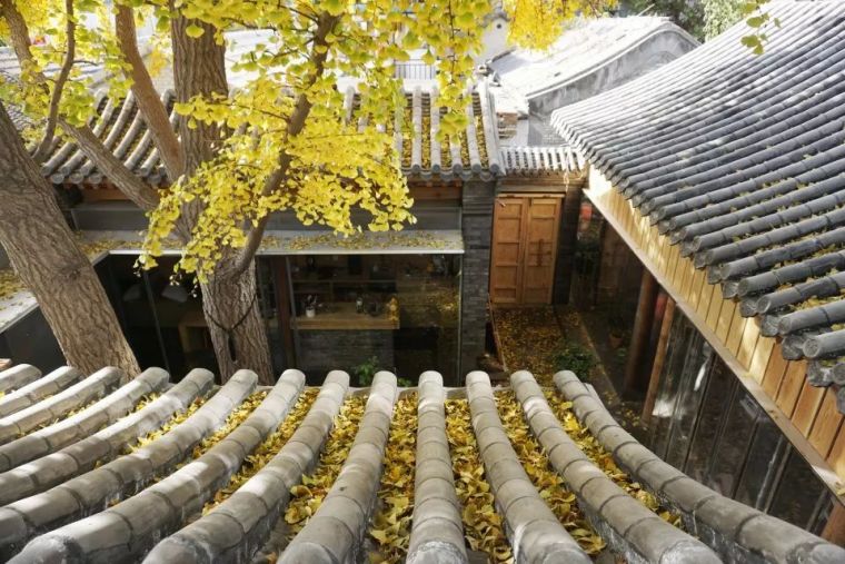 老北京胡同里的栖居，传统与现代的对话_17