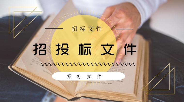 交通组织文件资料下载-[四川]水电站的综合治理及场内交通工程施工招标文件435页