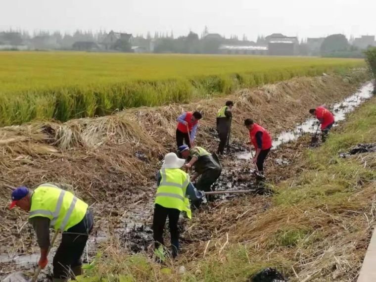 狠抓河道整治、提升河流生态品质_12