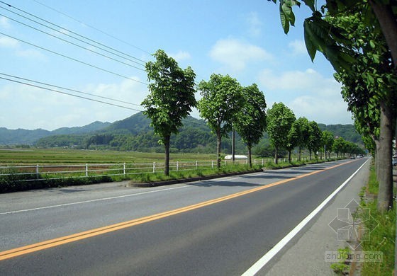 贵州市政公路清单预算书资料下载-[山东]公路改造工程预算书（市政 园林）