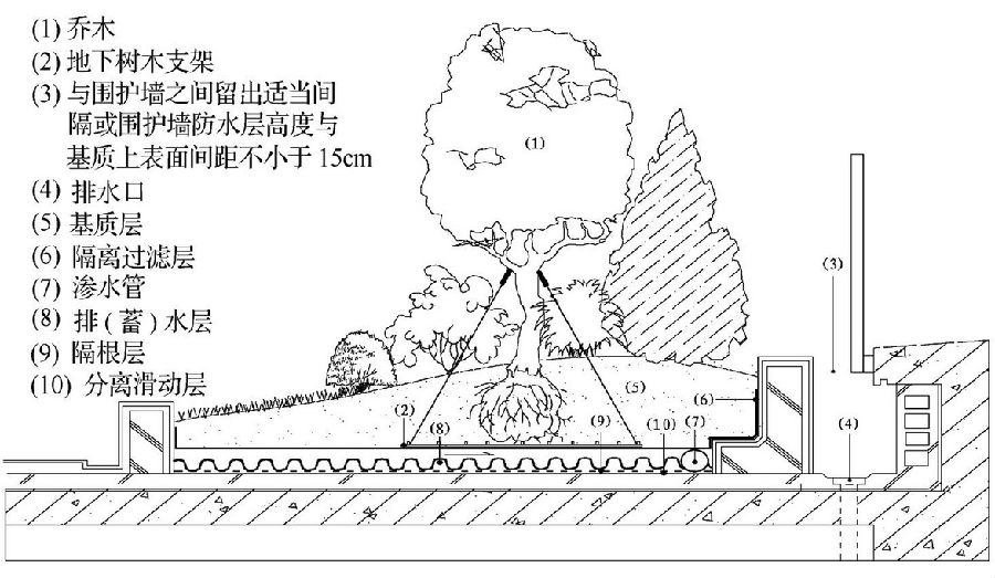 屋顶绿化种植区构造层剖面示意图