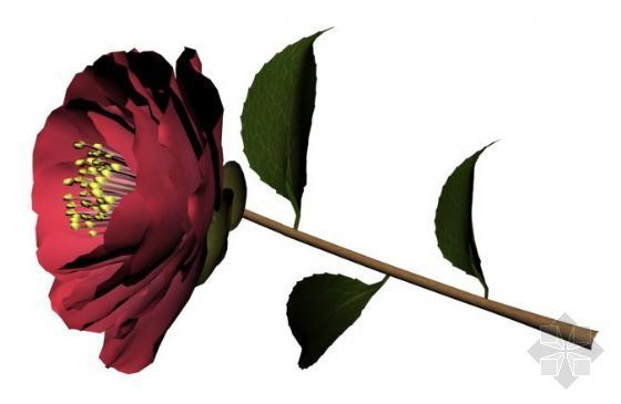 玫瑰红的诱惑住宅资料下载-玫瑰花
