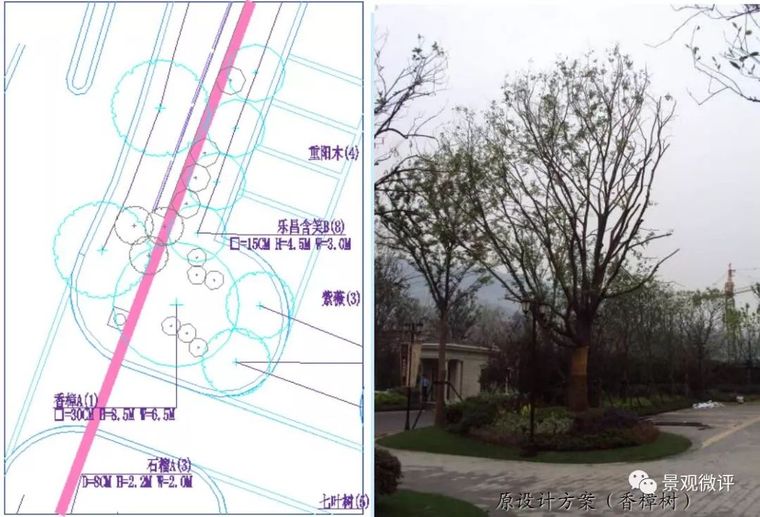 从图纸到施工|景观绿化营造工艺①_7