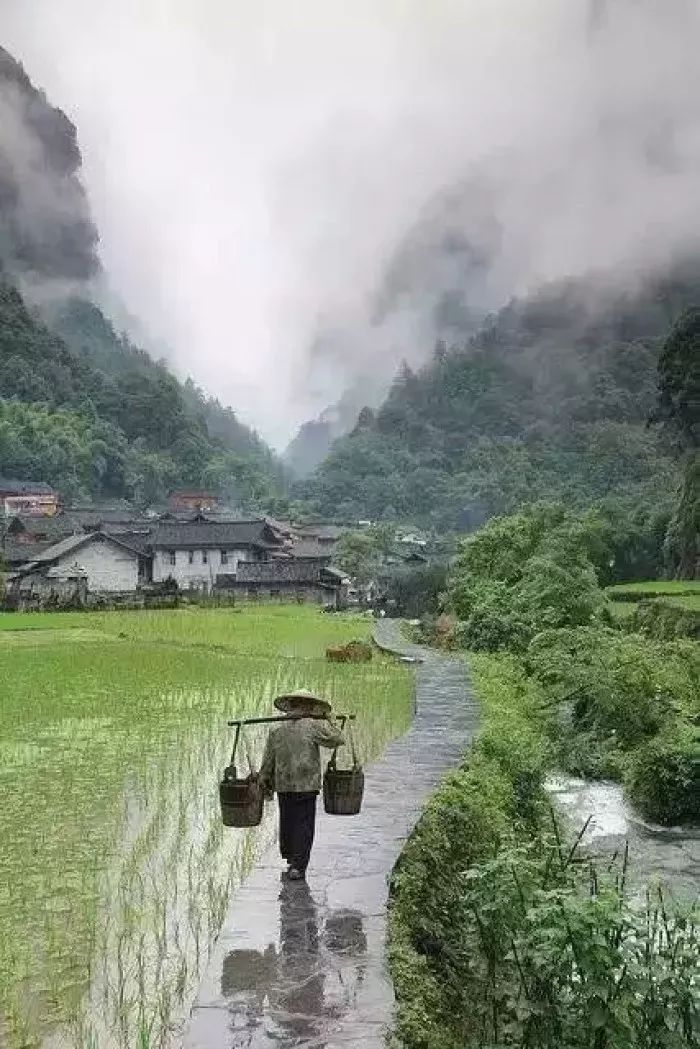 新农村宅基地资料下载-对不起，我回去当农民了！中国即将实行三权分置！