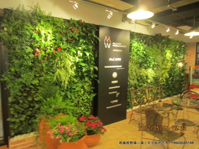 [分享]麦肯广告公司广州瑞安大厦植物墙(15平方米)