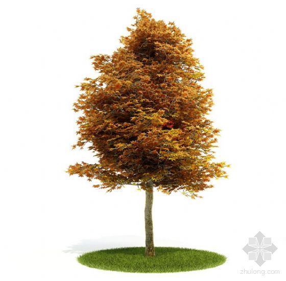 3dsu树木模型下载资料下载-树木009