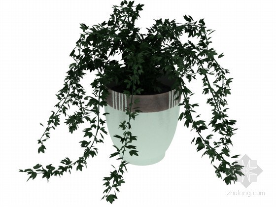 桌上的独特盆栽资料下载-小盆栽3D模型下载