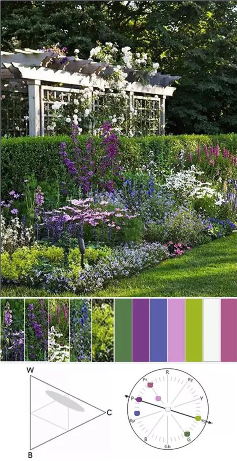 相对紫色绿色的单独搭配,粉色的加入少了活泼更添了一丝柔和.