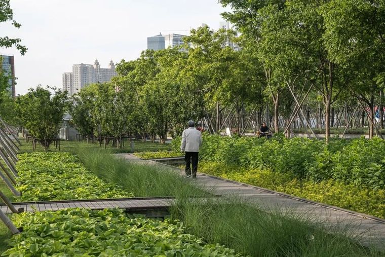 [景观设计]以机场跑道为概念的生态乐园_8