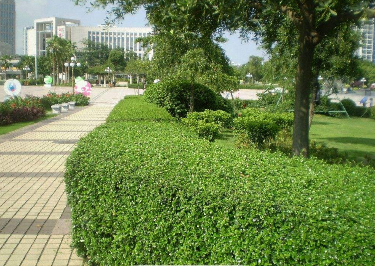 上海世博园园林资料下载-上海市园林绿化建设工程施工合同示范文本