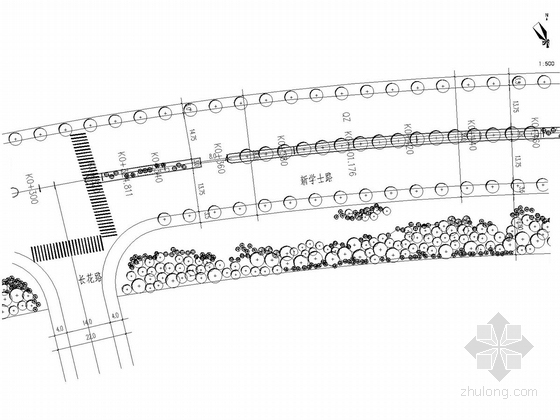 [长沙]学士路道路工程绿化施工图-小乔及灌木种植平面图