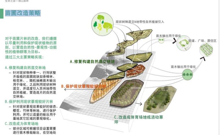 [江苏]苏州城市中央活力区景观规划设计文本（PDF+165页）—知名景观公司-苗圃改造策略