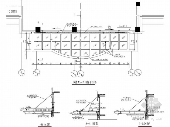 弧形阳光雨棚结构图施工图资料下载-公司大楼入口雨棚钢结构图纸