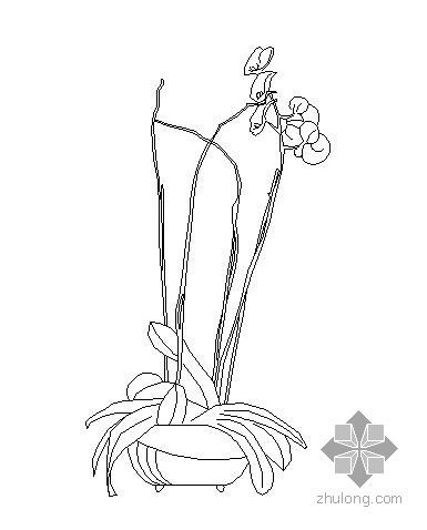 盆栽植物CAD资料下载-盆栽植物图块5