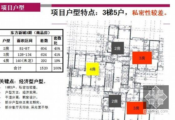 [湖南]房地产住宅项目营销策略报告(营销战略)109页-项目户型