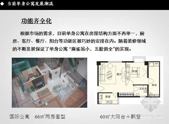 [宁波]公寓住宅项目营销策划报告(含市场分析 项目定位)-当前单身公寓发展潮流 