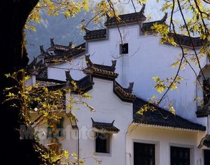 江苏省2020年三季度人防工程防护设备信息价资料下载-任泽平：中国年内出现“严重滞胀”的概率不大