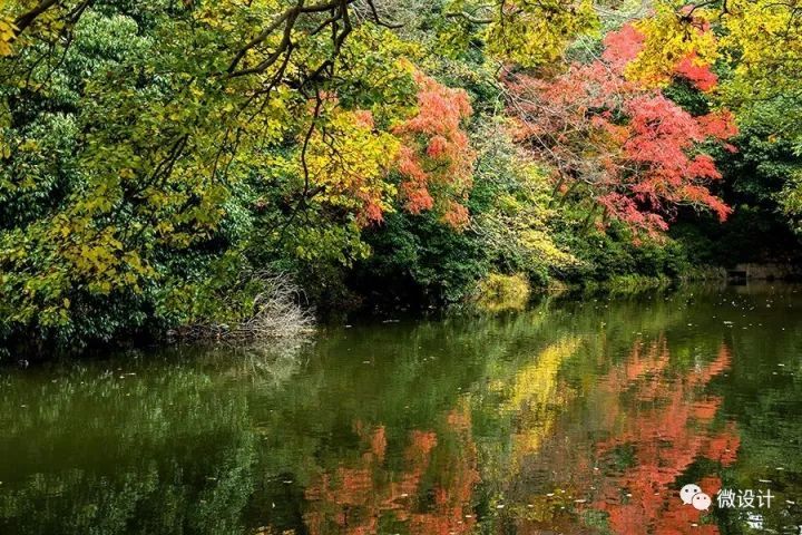 日本15个最美枯山水庭院_103