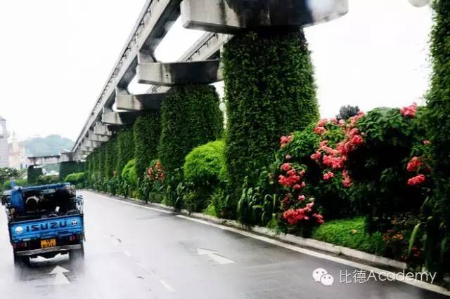 震惊了！新加坡的垂直绿化建筑 ..._4