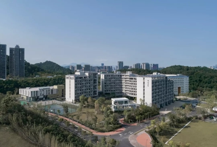 香港中文大学思廷学院-5cee0df1b2ec4