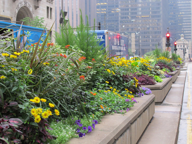 美国密歇根大道街景观-MichiganAvenue_8