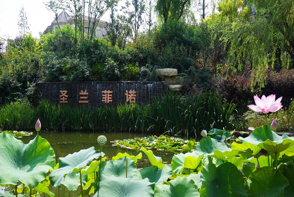 临沂圣兰菲诺景观