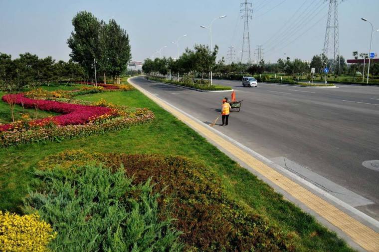 景观绿化工程质量通病资料下载-高速公路绿化工程标准化施工（18页）