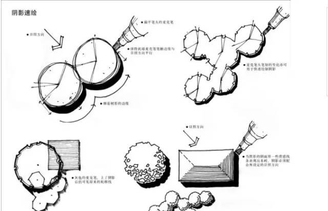 景观快题设计中植物表达技法！_20