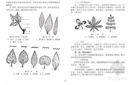 园林培训讲义资料下载-[标杆]房地产物业管理绿化工作培训讲义